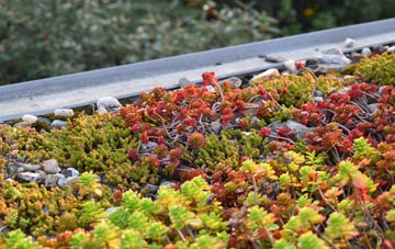 the cost of Columbia green roof installation