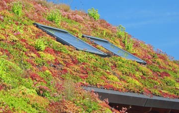 Columbia living roof systems