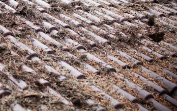 Columbia roof cleaning companies